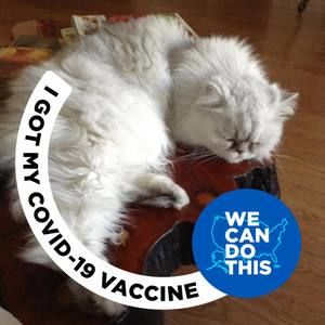 Meet your Posher, Joyce